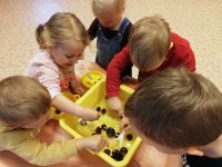 IMG_20201013_095752